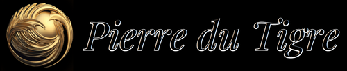 Boutique pierre du tigre