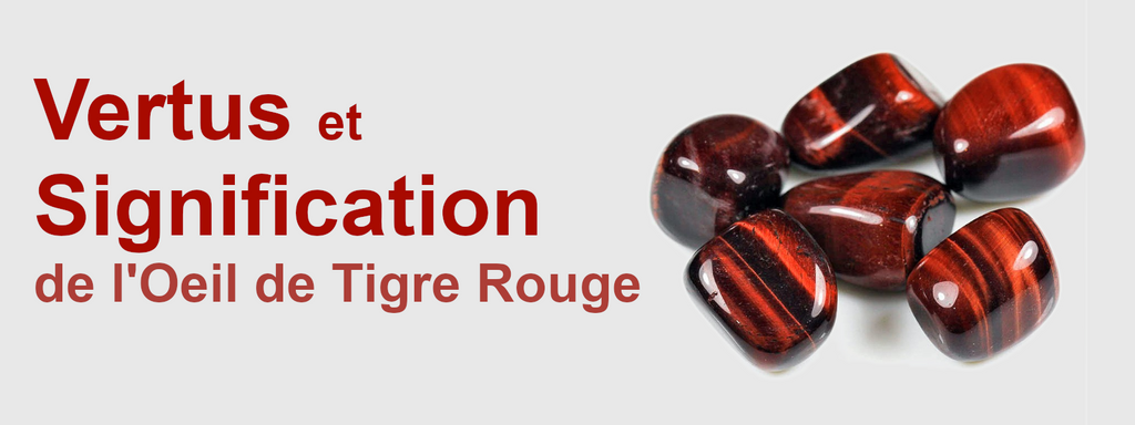 Œil de Taureau : La Pierre de Force et d'Ancrage